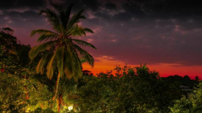 Simon's Lodge Hikkaduwa